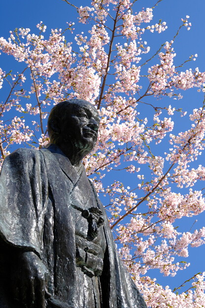春の小樽ー住吉神社