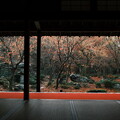 写真: 晩秋の京都2023　圓光寺その２