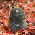 写真: 晩秋の京都2023　圓光寺その９