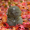 写真: 晩秋の京都2023　圓光寺その１０