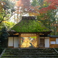 写真: 晩秋の京都2023　法然院その１