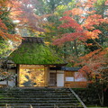 晩秋の京都2023　法然院その２