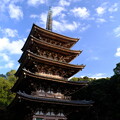 写真: 晩秋の京都2023　醍醐寺その２