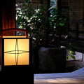 写真: 晩秋の京都2023　桂春院その２