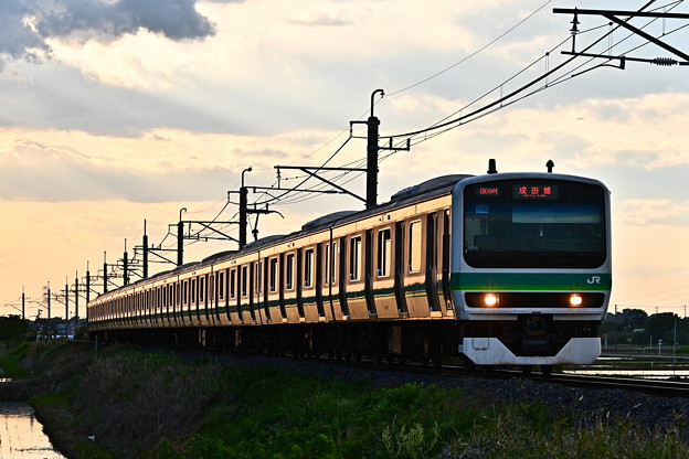 写真: 夕暮れの成田線E231系