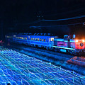 写真: DE10 1099牽引DL大樹団体臨時列車