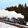 Photos: C11 207雪の倉ケ崎SL花畑SL大樹6号