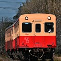 Photos: 小湊鉄道キハ208+キハ201