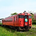 写真: 小湊鐵道キハ40臨時急行