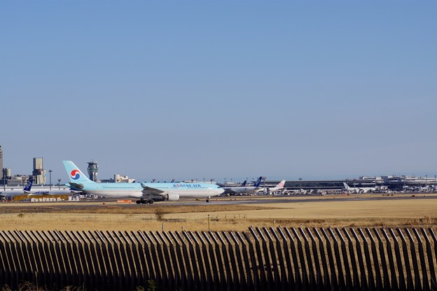 写真: 成田さくらの山　大韓航空