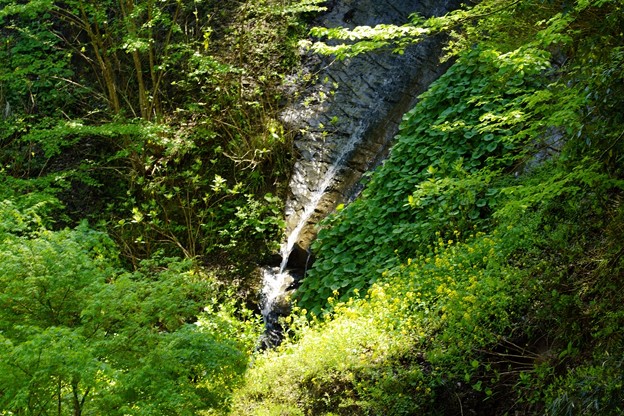 写真: 牛堀の滝