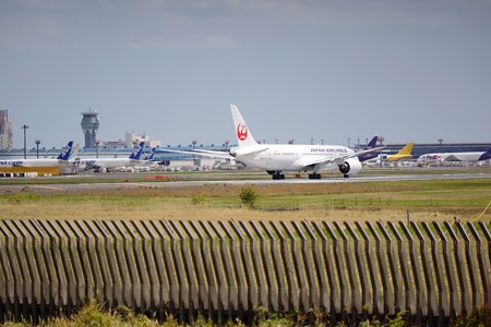 成田さくらの山　日本航空