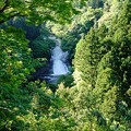 写真: 粟又の滝