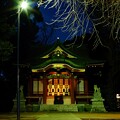 写真: 柴又八幡神社