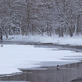写真: 冬の屈斜路湖IMG_5985a