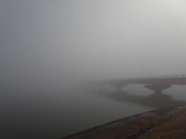 写真: 2023.03.07 きょうの風景・霧