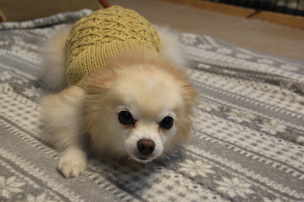 手編みのキャミソール