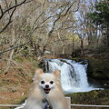 写真: 鐘山の滝をバックに