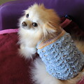 手編みのキャミソール