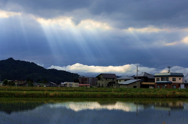 写真: 水田と光芒
