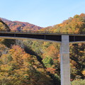 写真: 長井ダム湖の橋