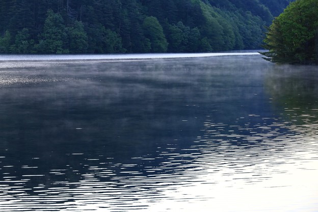 朝霧の湖面