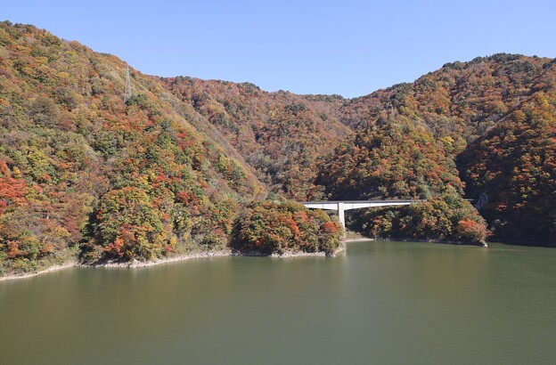 長井ダムの紅葉N1