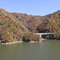 写真: 長井ダムの紅葉N1