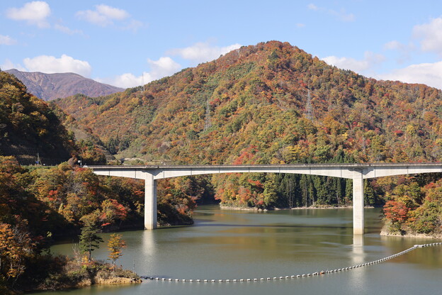 長井ダム湖と竜神大橋