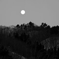 Photos: 夜明けの月