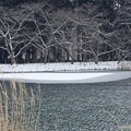 Photos: 寒中の池