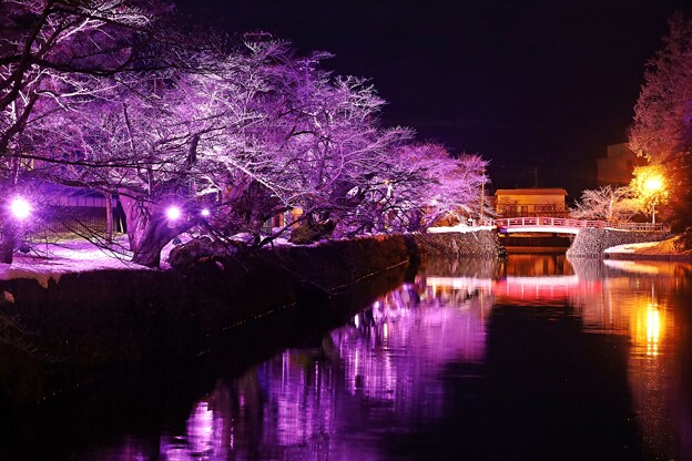 上杉雪灯篭祭りN2