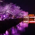 Photos: 上杉雪灯篭祭りN2