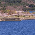 写真: 七ヶ宿公園とダム湖