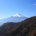写真: 日本国　山梨県　西桂町　三つ峠山登山道途中からの富士山