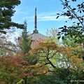 Photos: さぁ秋の京都だ！