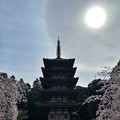 Photos: 醍醐寺五重塔