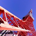 写真: 13 東京タワー