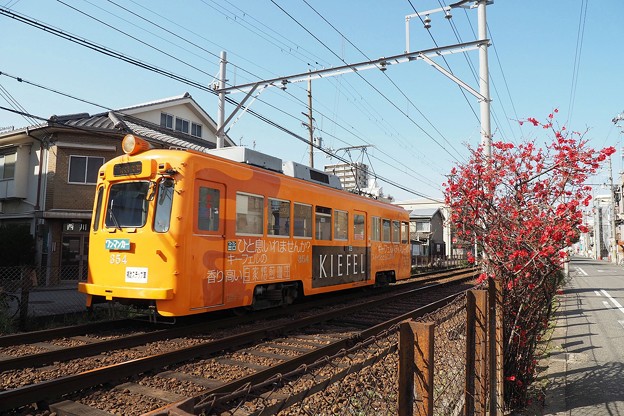 写真: 阪堺電車