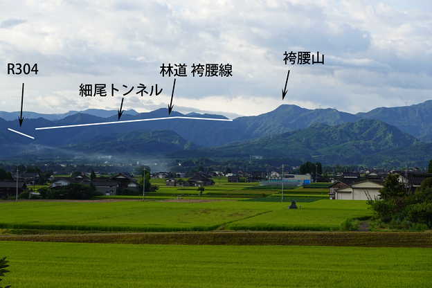 写真: 砺波平野から袴腰山を望む