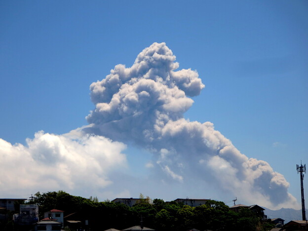噴煙を揚げる桜島（２０１８年5月撮影）