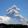 写真: 噴煙を揚げる桜島（２０１８年5月撮影）
