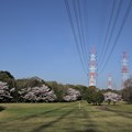 写真: 鉄塔と桜