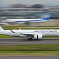 写真: JAL A350
