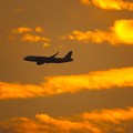 写真: 夕焼けと飛行機