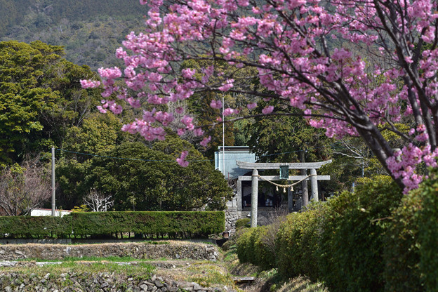 写真: 春日神社