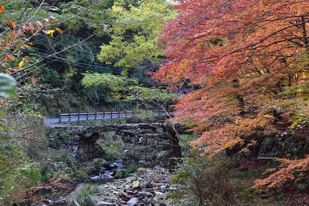 写真: 盤石橋の紅葉