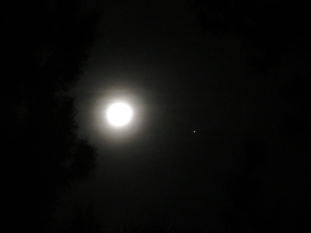 十六夜月と木星のランデブー（６）