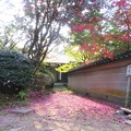 Photos: 住吉神社の紅葉（１）