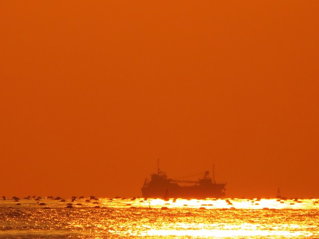 写真: 播磨灘の夕景
